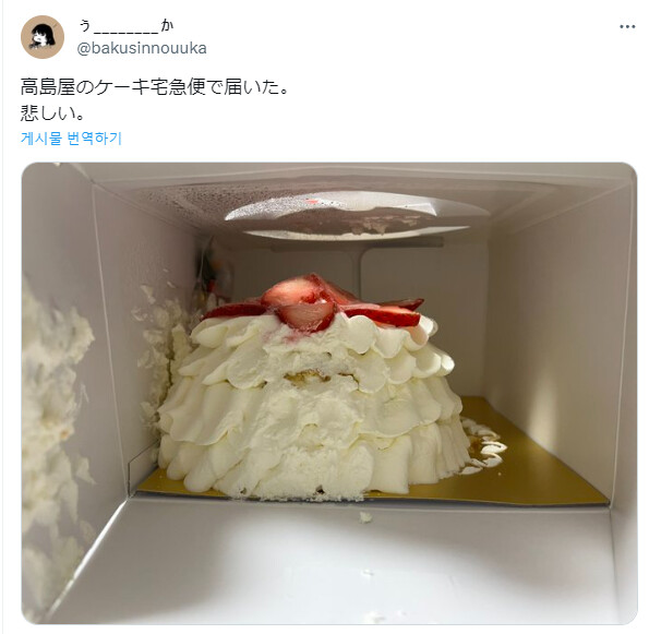 일본 크리스마스 케이크 배송 참사.jpg_2.png