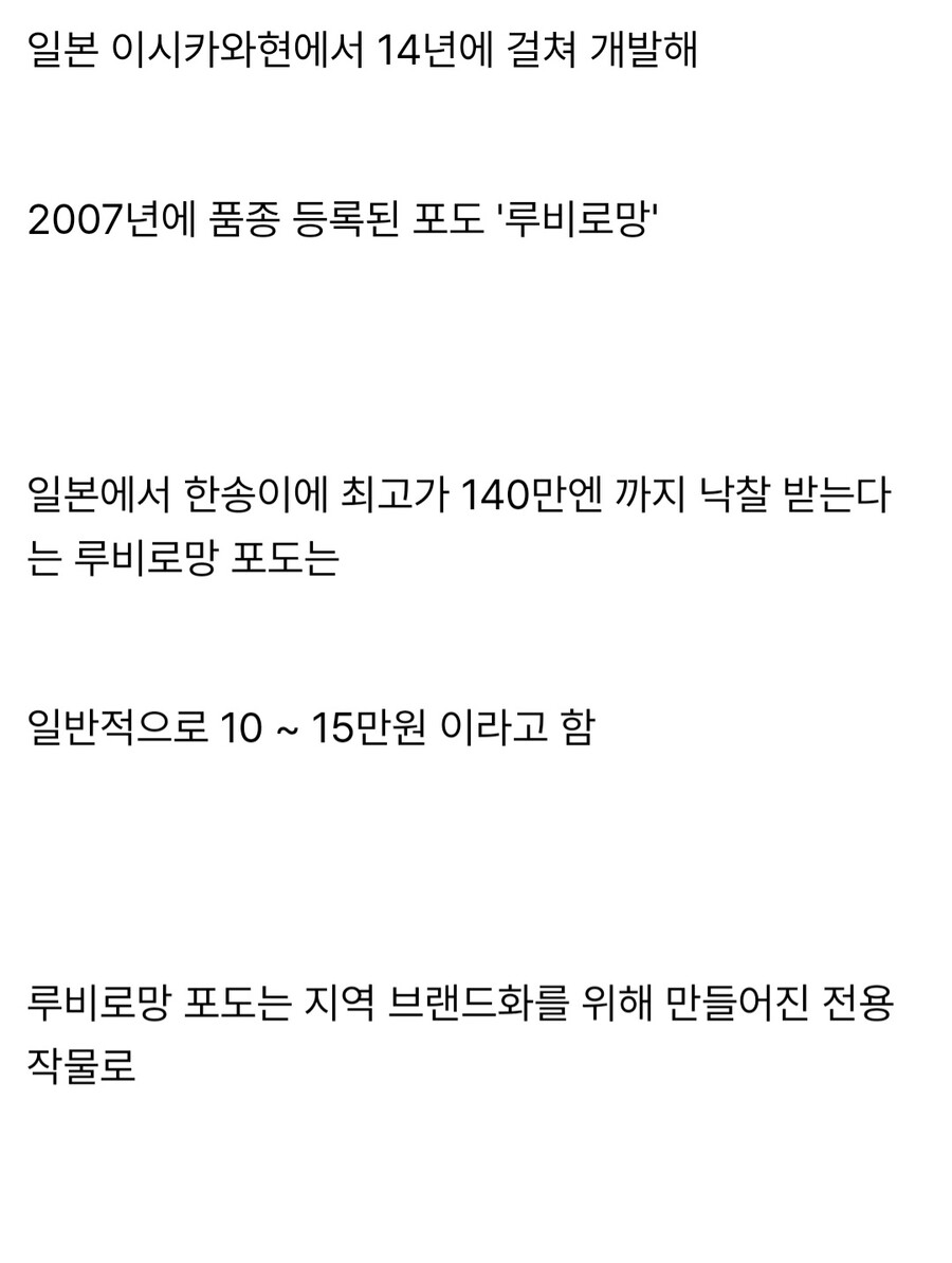 샤인머스켓에 이은 일본의 뻘짓_2.jpg