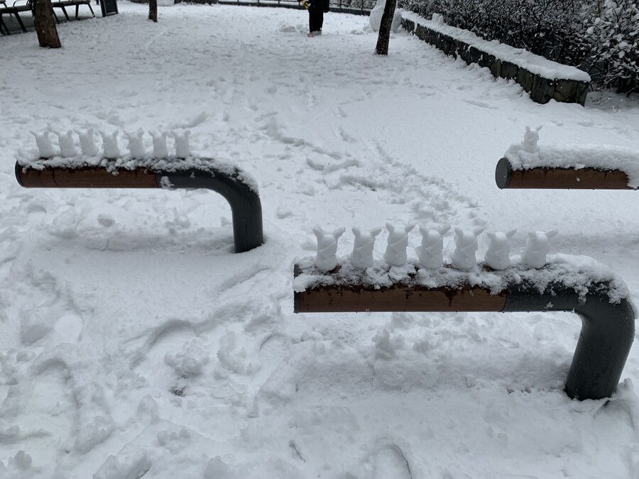 공원 입구를 지키는 늠름한_2.jpg