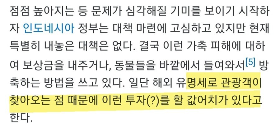 인도네시아 정부가 길냥이를 방치하는 이유_6.jpg