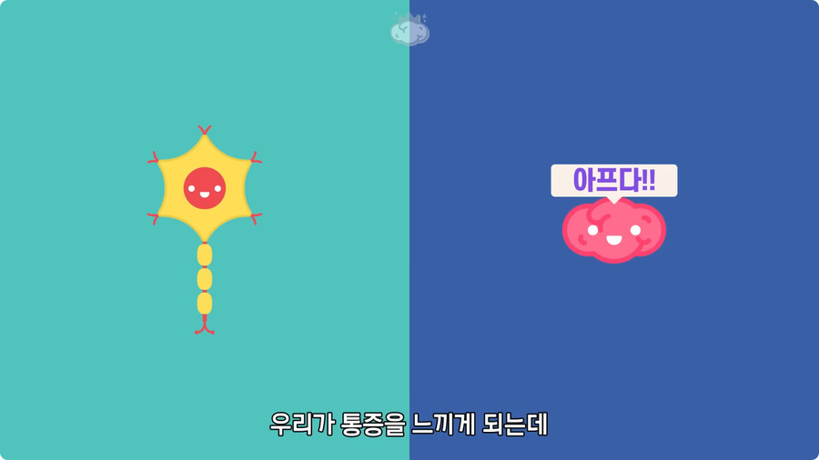 고환을 맞으면 많이 아픈 이유.jpg_9.jpg