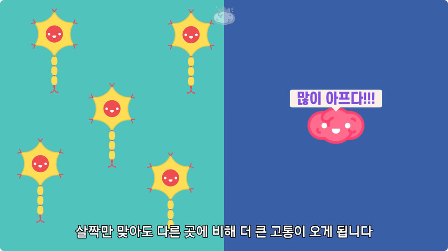 고환을 맞으면 많이 아픈 이유.jpg_11.jpg