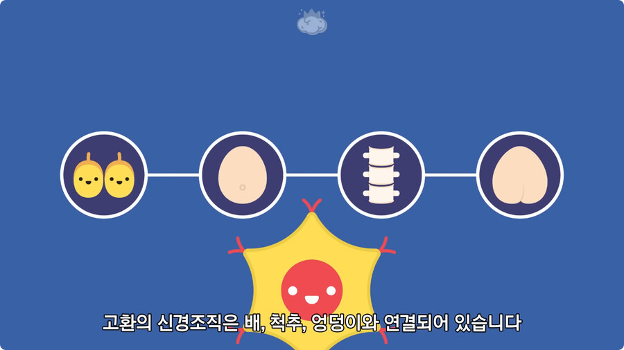 고환을 맞으면 많이 아픈 이유.jpg_16.jpg