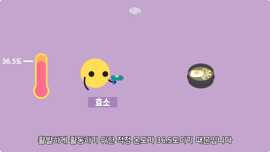 고환을 맞으면 많이 아픈 이유.jpg_22.jpg