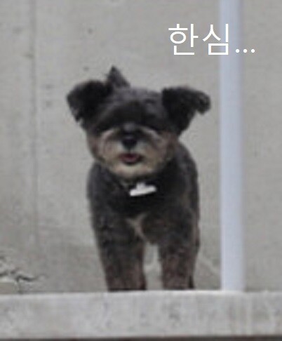 한심짤 새로운 버젼이 나왔어.jpg_3.jpg