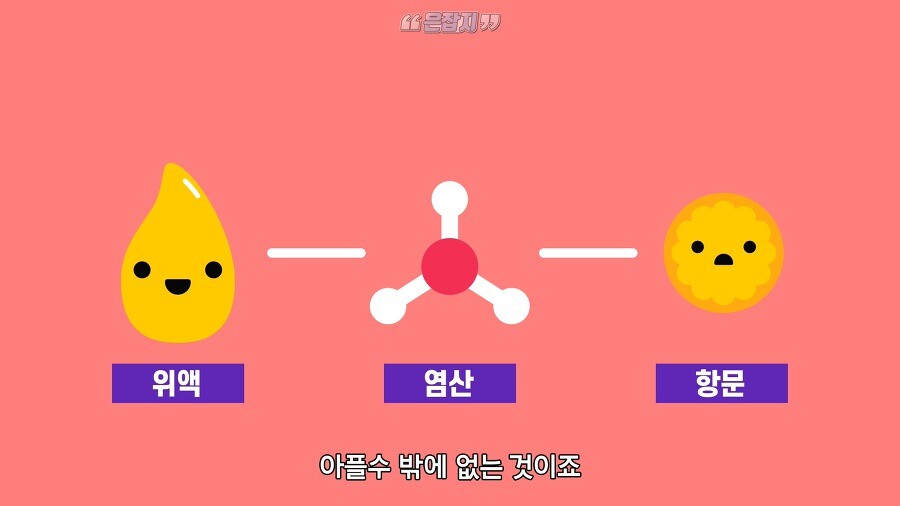 설사하면 항문이 쓰라린 이유jpg
