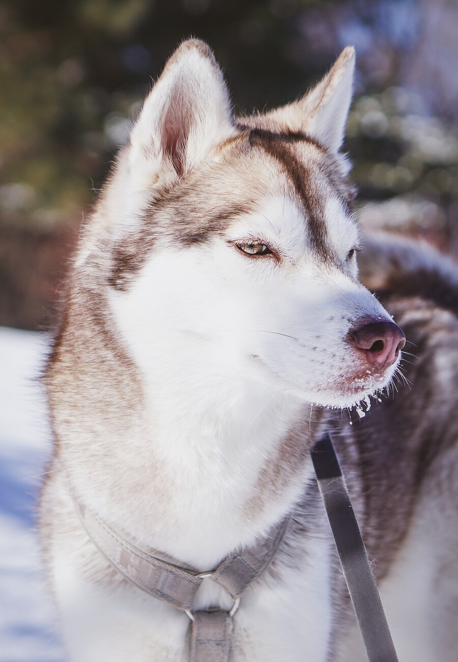 아기 찍기 좋은 렌즈 추천해주세요 ㅠㅠ!!_2.jpg