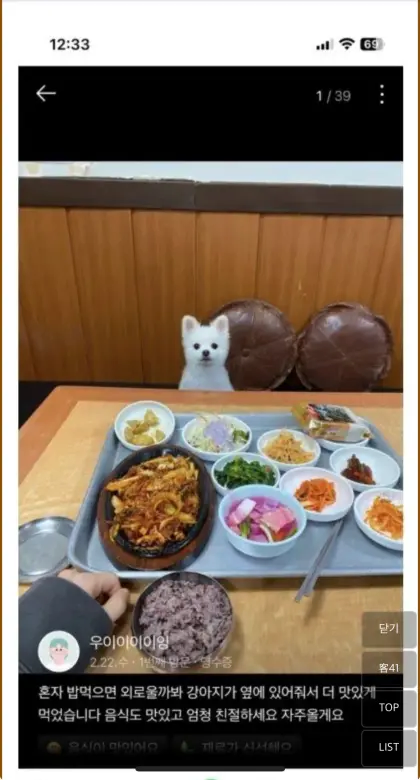 혼밥하면 옆에 강아지가 있어준다는 식당의 특이점.jpg_1.webp