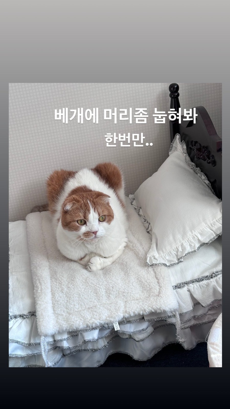 240106.휘인.인스타그램 스토리2.jpg