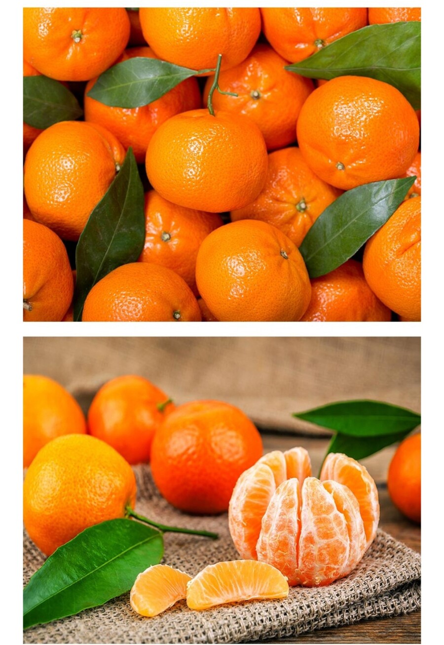 [네이버] 귤중에 가장 달고 맛있는 귤 레드향 특가 18,900원 (무배)_2.jpg