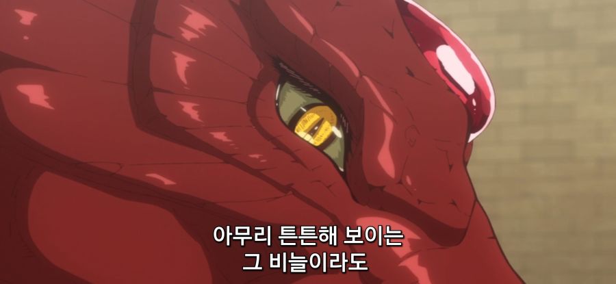 [이세계에서 복슬복슬] 스압 드래곤와 대화하는 로리_24.jpg