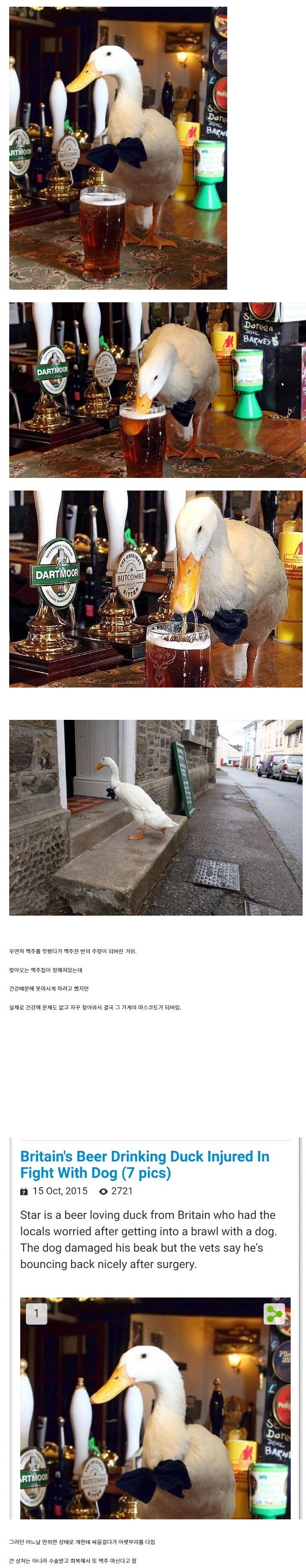 영국술집 단골손님_1.jpg