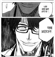 블리치)이쯤에서 다시보는 블리치 밈 모음_10.jpg