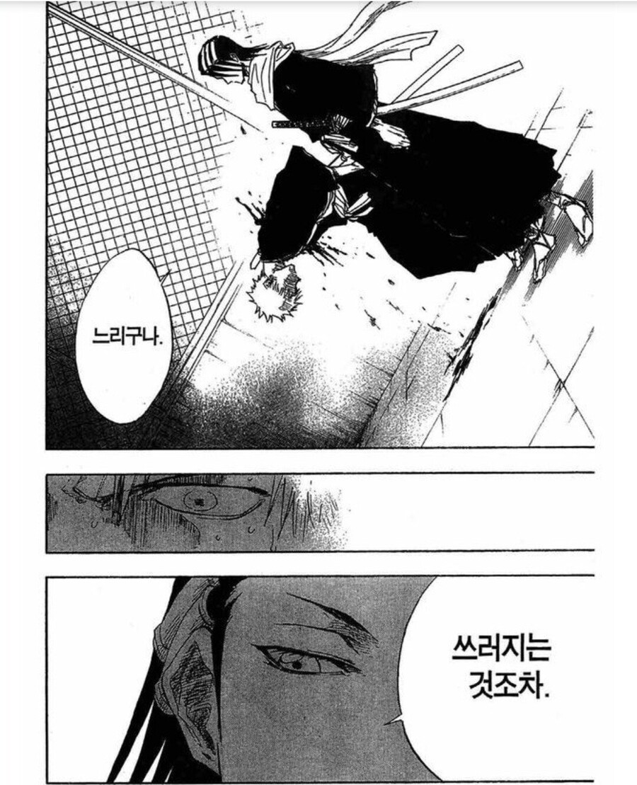 블리치)이쯤에서 다시보는 블리치 밈 모음_16.jpg