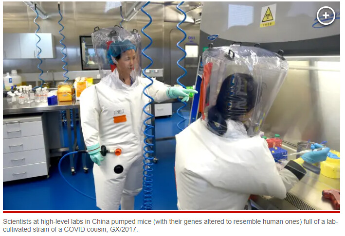 중국] 치사울 100% 바이러스 제조했다!!!! ..제조?_4.png