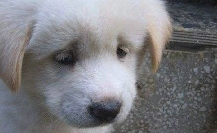 갤럭시S24 사전예약 다 6% 할인이구나...._1.jpg