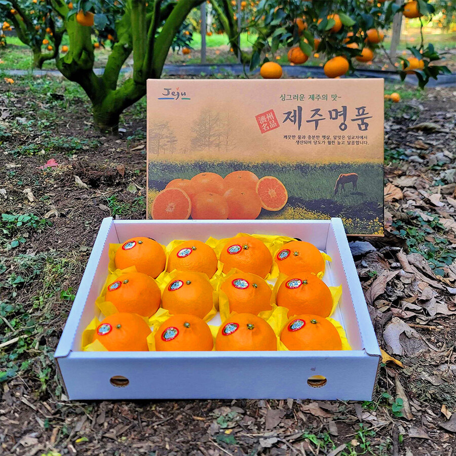 [네이버] 설 명절 선물세트(천혜향, 한라봉, 레드향) 할인 판매_1.jpg