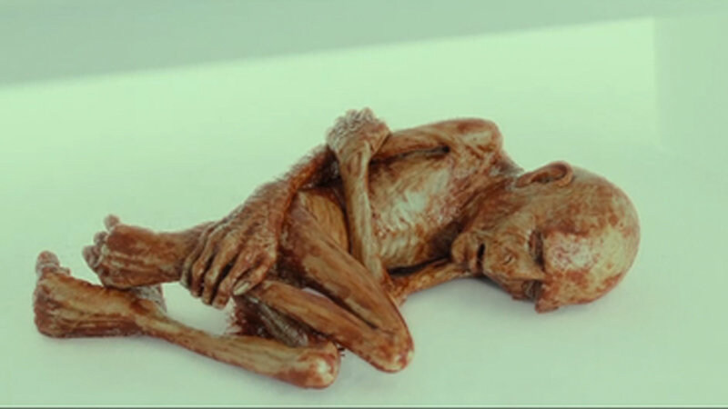 해리포터) 딱총나무 지팡이 시점에서 보는 최종전_3.jpg