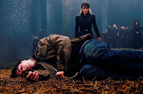 해리포터) 딱총나무 지팡이 시점에서 보는 최종전_6.jpg