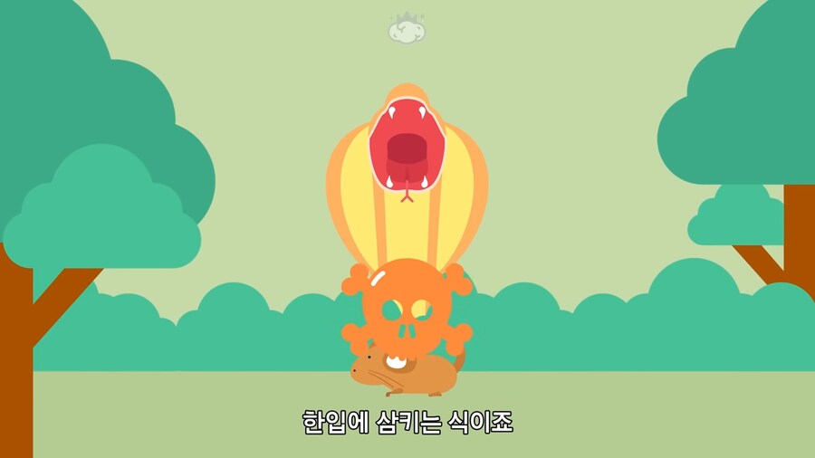 독사의 독은 혈관에 들어갔을 때 위험하다고 함_3.png