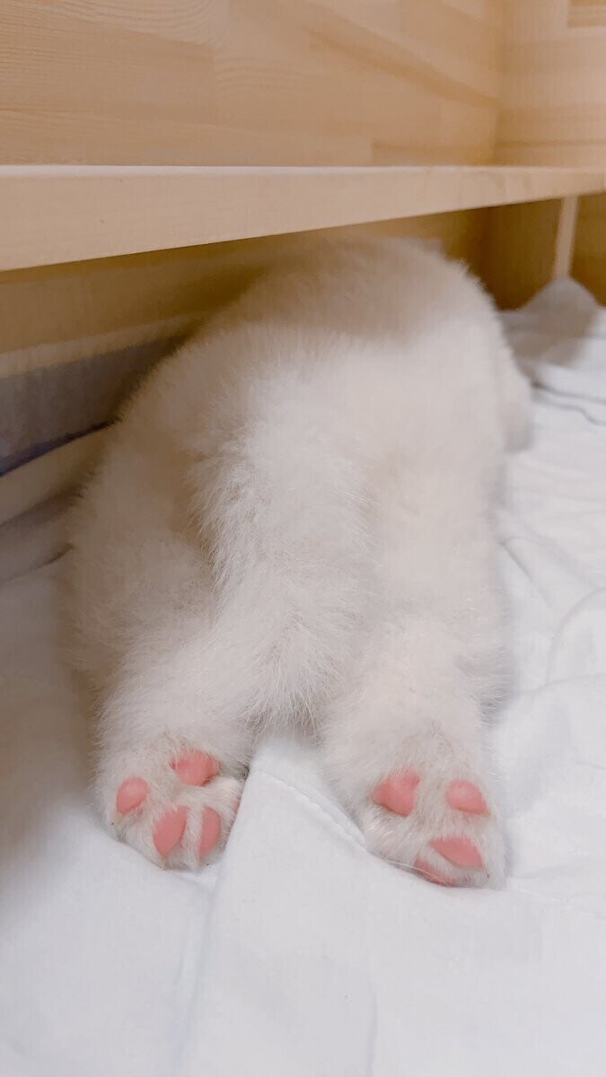 호불호 갈리는 뒤태.jpg_1.jpg
