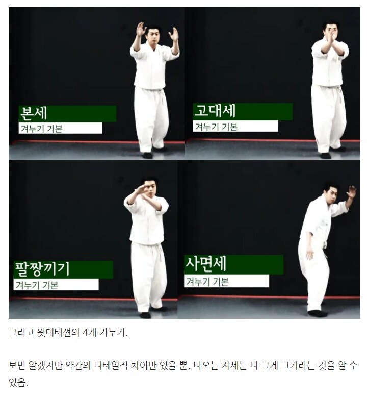 [데이터주의/스압]오싹오싹 택견 시리즈 - 제 1회 택견 경기와 실종된 활갯짓 -_7.png