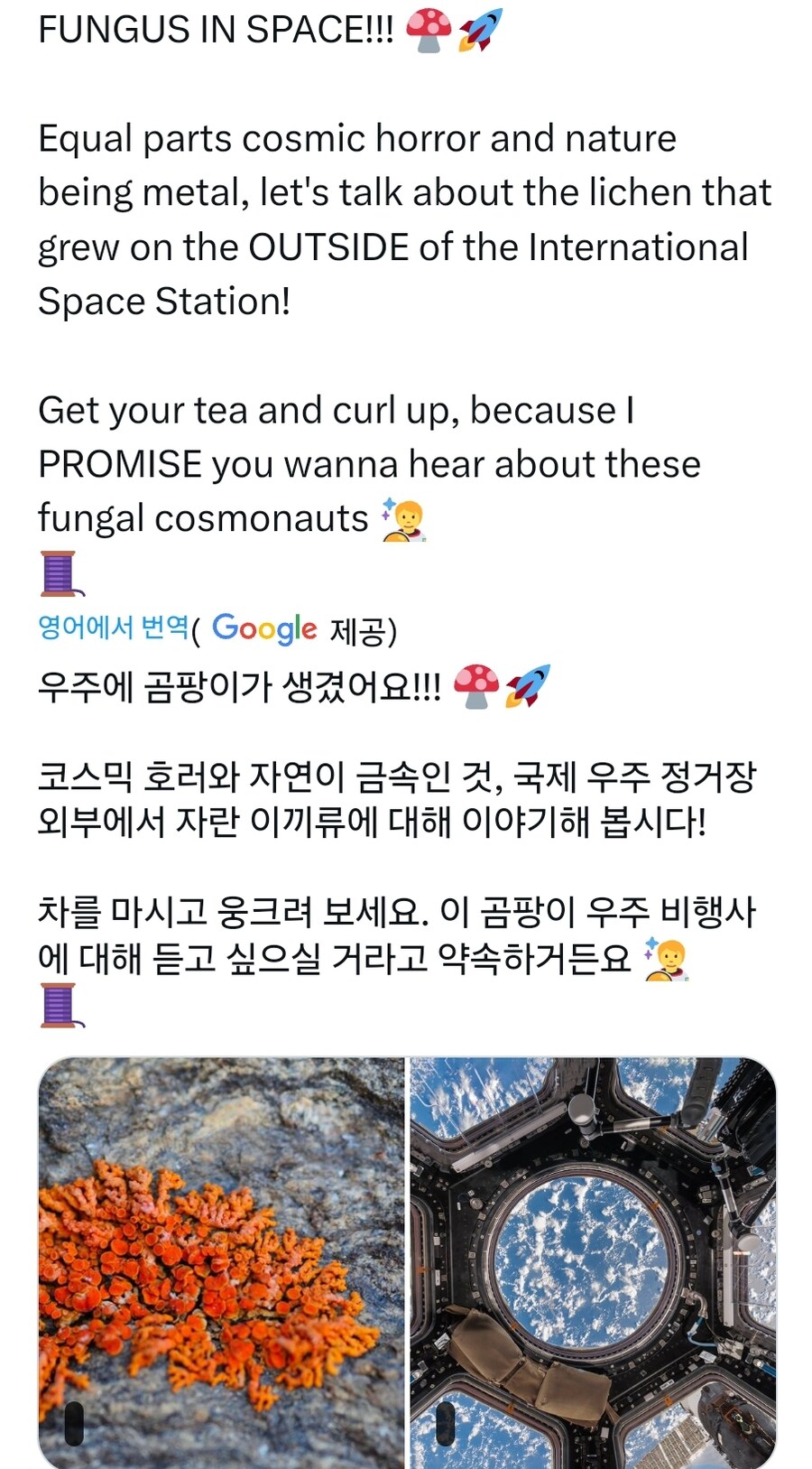 외계인 아포칼립스도입부_1.jpg