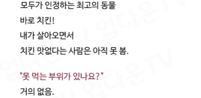 전 세계가 인정하는 최고의 동물.jpg_1.jpg