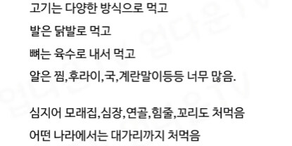 전 세계가 인정하는 최고의 동물.jpg_2.jpg
