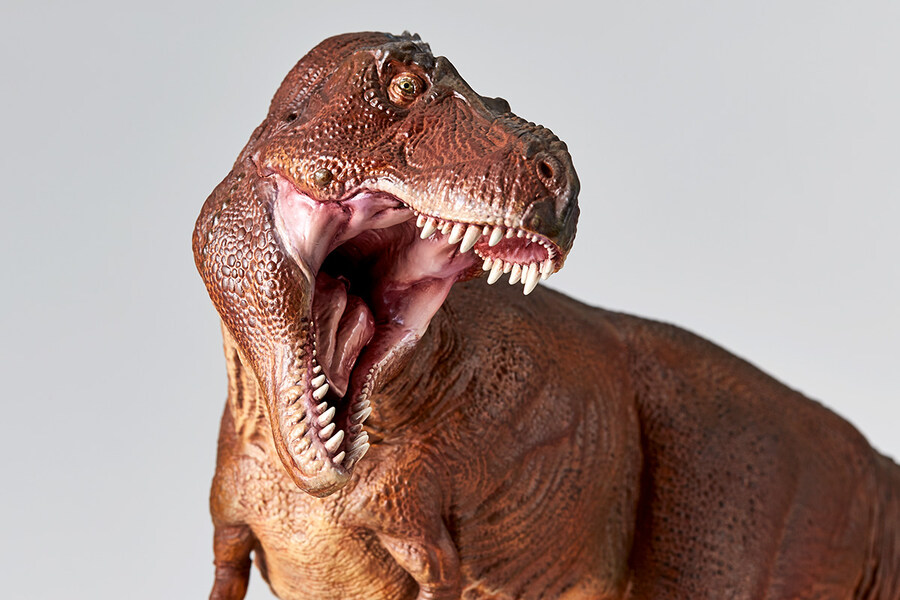 [카이요도] Nature Tales 공룡왕_4.jpg