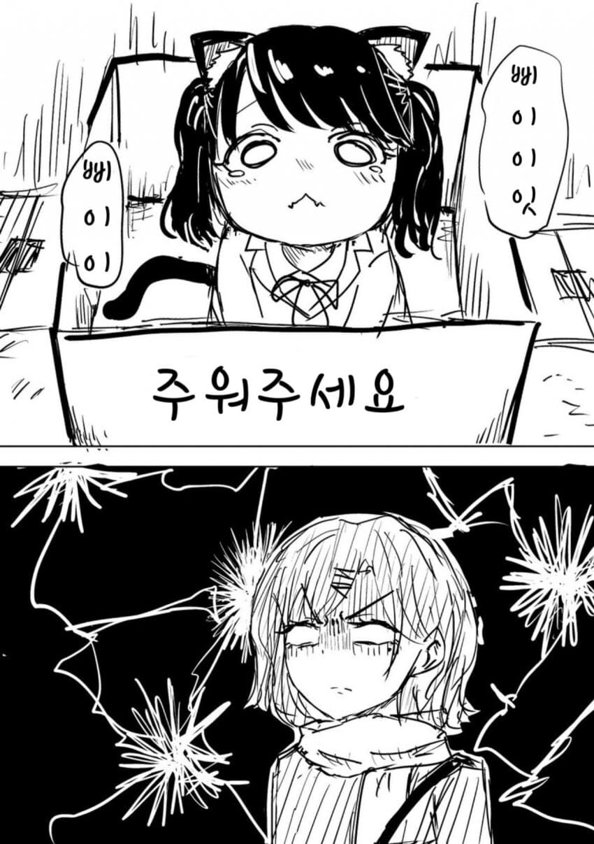 @) 고양이 코이토를 주운 마도카 만화_2.jpg