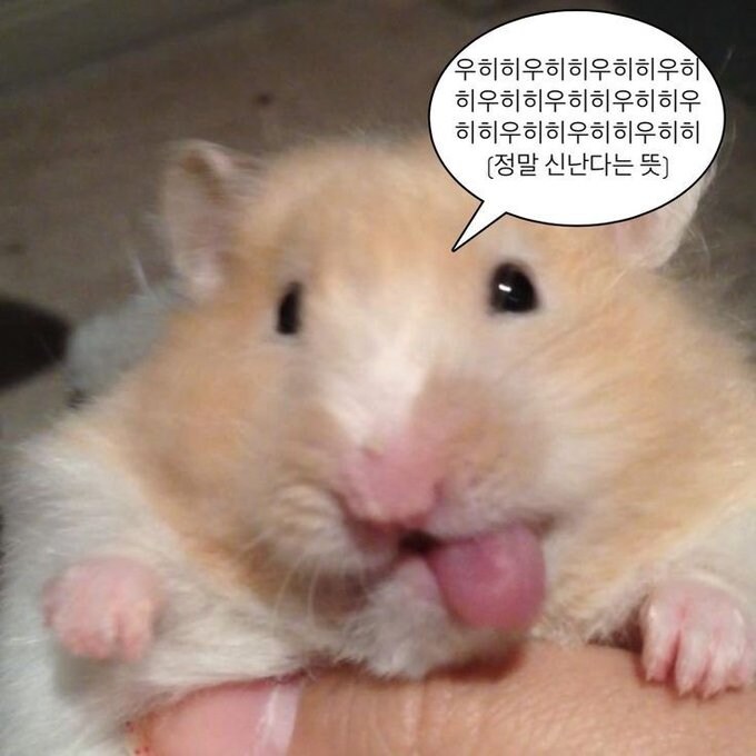 버튜버) 3.0 표정은 언제나 최고야!_6.jpg