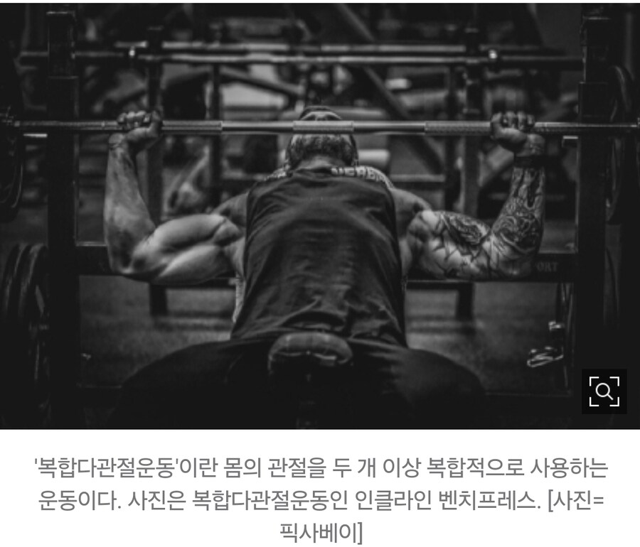 [주말엔 운동] '3대 운동' '고립 운동' '분할'…무슨 말일까요?_1.jpg