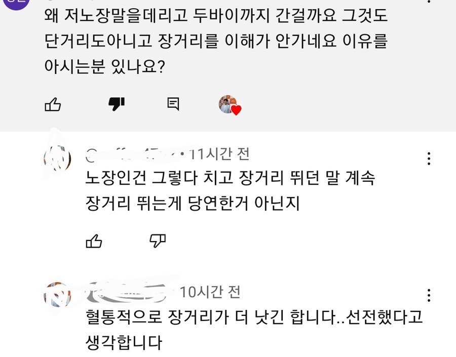 한국 경마 볼때 한숨 나오는 부류._2.jpg