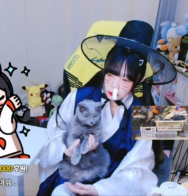 인방) 새봄네 고양이 체중이 많이 줄었음_2.jpg