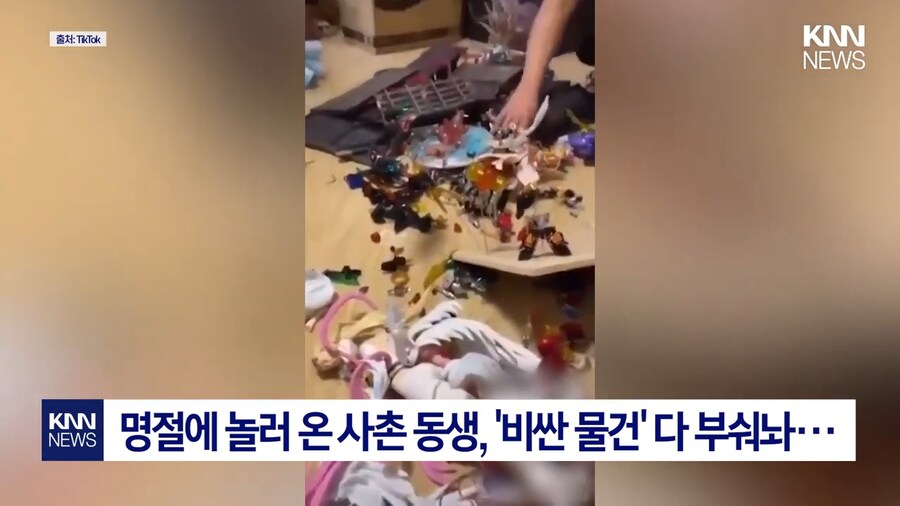명절에 놀러 온 사촌 동생, 피규어 박살내...진실의 진실_1.png