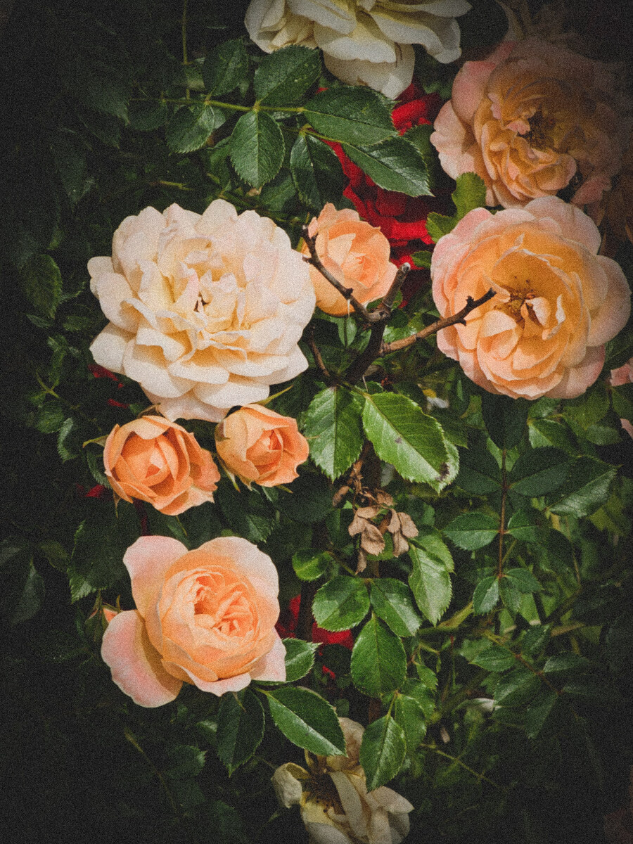 유게사진전 (2023년, 사계절)_3.jpg