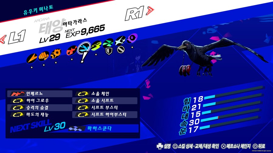 '새'르소나_1.jpg