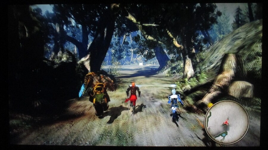 트리니티 질올 제로 (11)_1.jpg