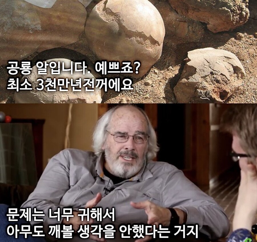 귀중한 공룡알 화석 망치로 깨버린 사람.jpg_1.jpg