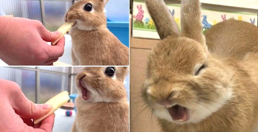 헌터x헌터 세계관에선 발도술도 개연성 챙길 수 있겠네_1.jpg