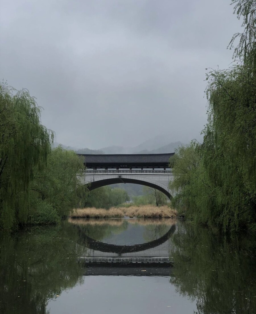 전주천 남천교 근황_1.jpg