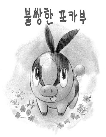 포켓몬) 뚜꾸리는 정말로 불쌍할까?_3.jpg