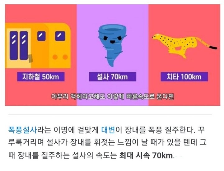설사의 속도는 최대 70km/h라는 글의 진실.jpg_1.jpg