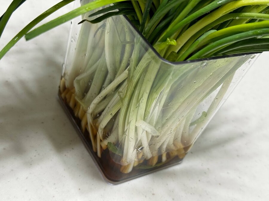 짜파게티는 파김치로 완성_7.jpg