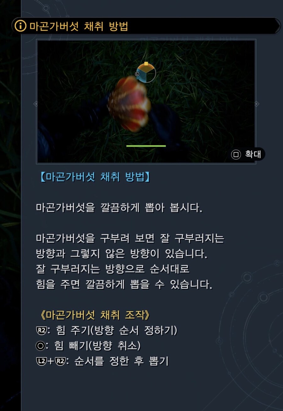 9장 누설)곤가가 버섯뽑기 퀘 진행팁이요_1.jpg