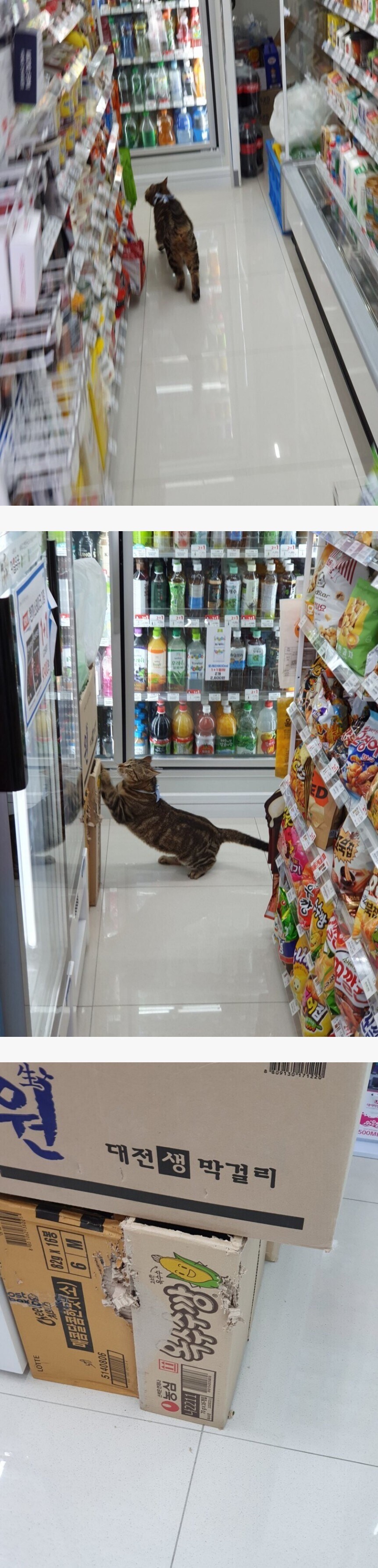 편의점에서 개인 욕구 해소하는 진상.jpg_1.jpg