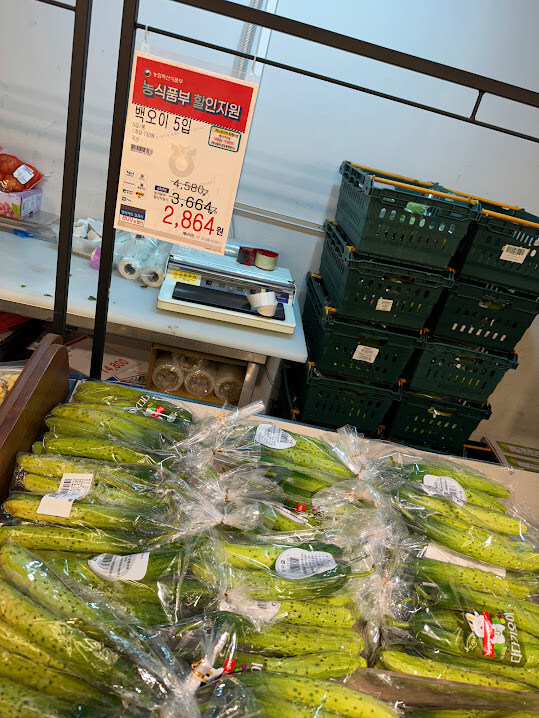 오이소박이를 맛있게 먹는 법 (스압주의)_3.jpg