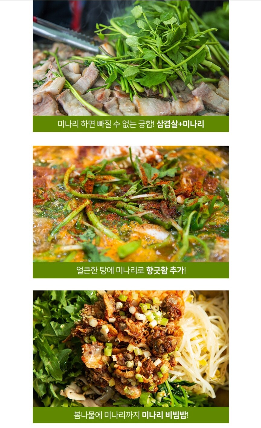 [네이버] 무농약 청도 한재미나리 최저가/13,900원 무배_4.jpg