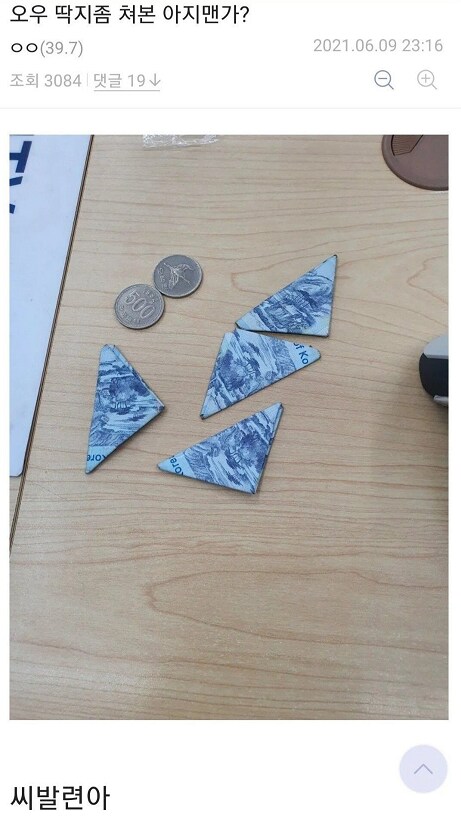 디시에서 가장 평화로운 갤러리_15.png